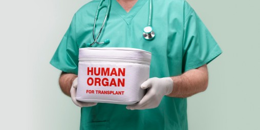 Surgeon with human organ for transplant